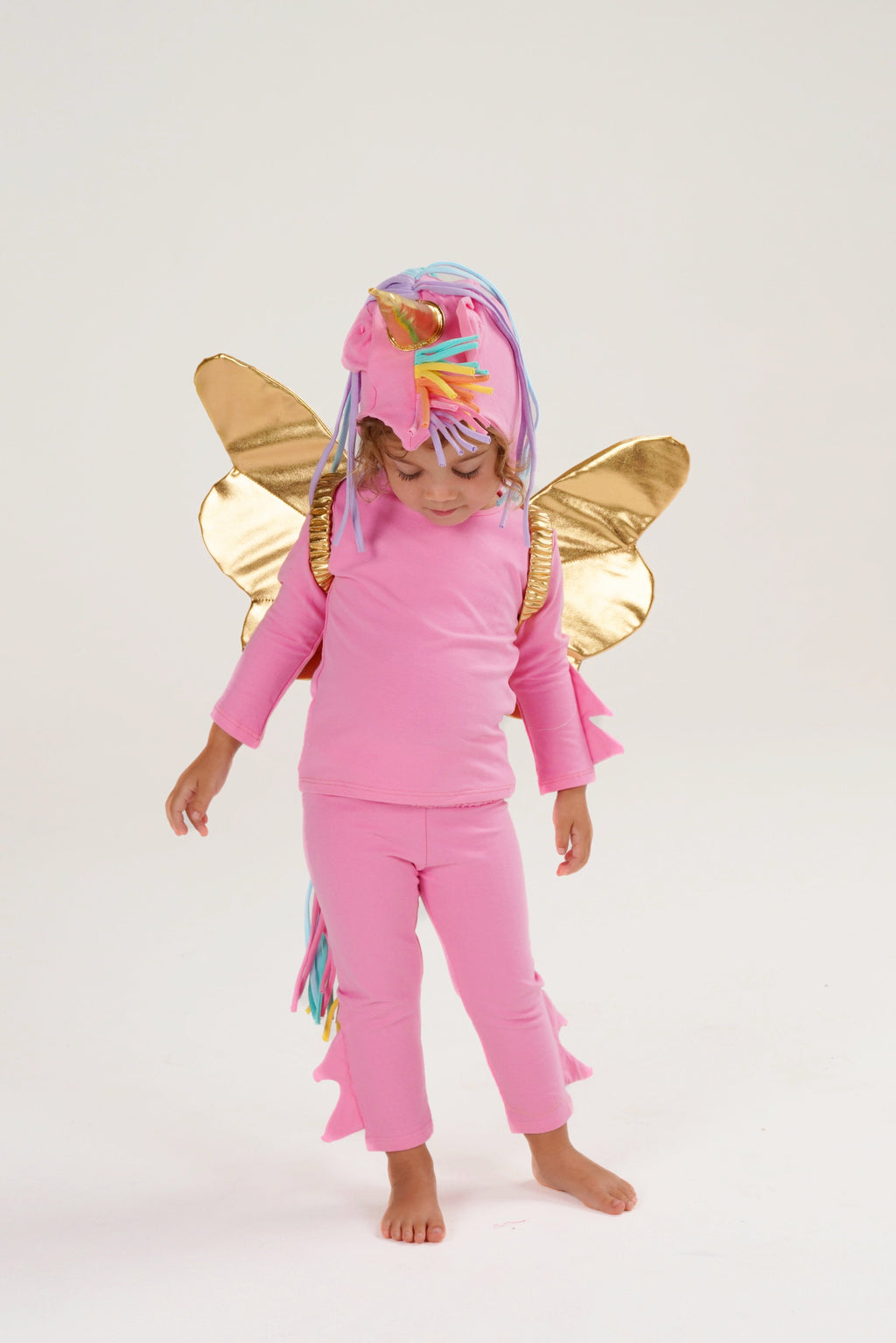 Pink Pegasus Halloween Costume by Band of the Wild