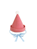 Gingham Party Hat by Band of the Wild