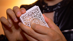 Regalia White Playing Cards by Shin Lim by Murphy's Magic Supplies, Inc.