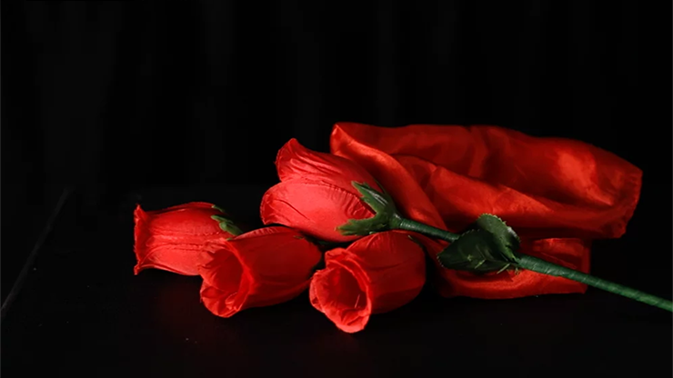 The Rose 2.0 (Red) by Bond Lee & Wenzi Magic by Murphy's Magic Supplies, Inc.