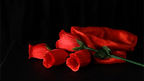 The Rose 2.0 (Red) by Bond Lee & Wenzi Magic by Murphy's Magic Supplies, Inc.