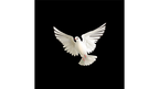 BLUFFF (Appearing Dove) by Juan Pablo Magic by Murphy's Magic Supplies, Inc.