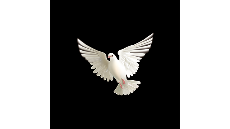 BLUFFF (Appearing Dove) by Juan Pablo Magic by Murphy's Magic Supplies, Inc.