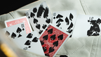 Presto Printo (With Online Instruction) by DARYL - Trick by Murphy's Magic Supplies, Inc.