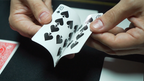 Presto Printo (With Online Instruction) by DARYL - Trick by Murphy's Magic Supplies, Inc.