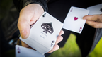 Cherry Casino (Sahara Green) Playing Cards by Pure Imagination Projects by Murphy's Magic Supplies, Inc.