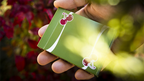 Cherry Casino (Sahara Green) Playing Cards by Pure Imagination Projects by Murphy's Magic Supplies, Inc.