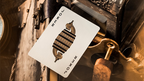 Navigators Playing Cards by theory11 by Murphy's Magic Supplies, Inc.