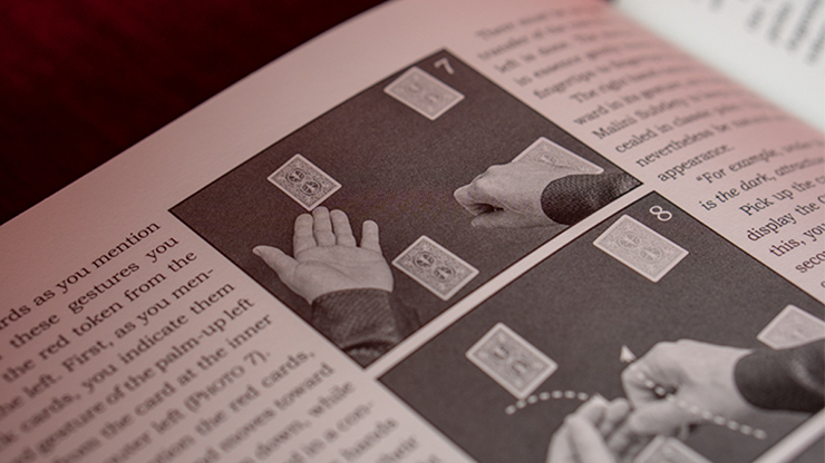 Giacomo Bertini's System for Amazement by Stephen Minch - Book by Murphy's Magic Supplies, Inc.