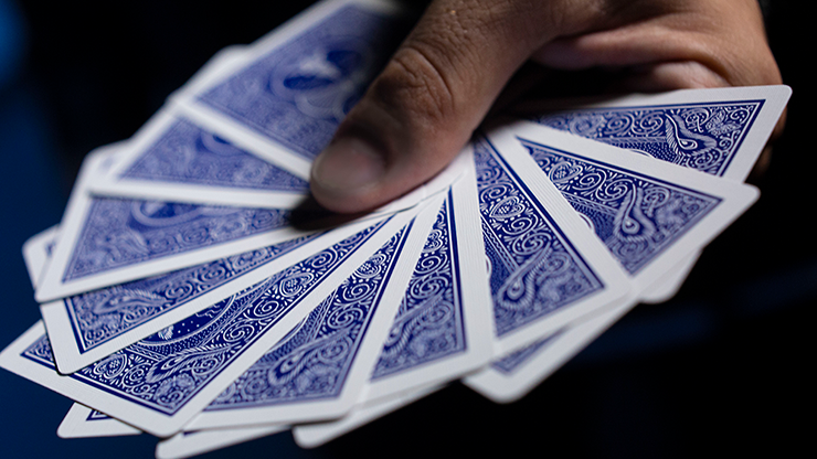 GT Speedreader Marked Deck Standard Version (Bicycle 809 Mandolin Blue) plus Online effect by Murphy's Magic Supplies, Inc.