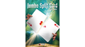 JUMBO Split Card by Syouma by Murphy's Magic Supplies, Inc.