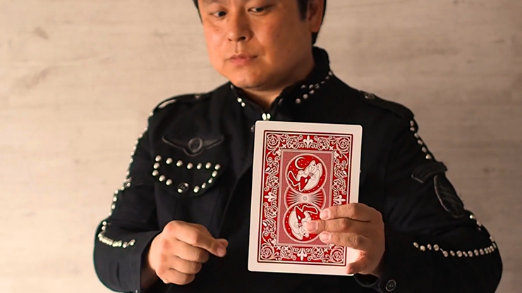 Jumbo Princess Card Trick by Tejinaya Magic by Murphy's Magic Supplies, Inc.