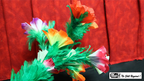 Giant Feather Fantasy by Mr. Magic by Murphy's Magic Supplies, Inc.