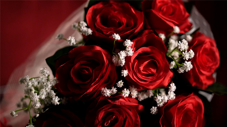 The Bouquet (Red) by Bond Lee & MS Magic by Murphy's Magic Supplies, Inc.