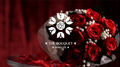 The Bouquet (Red) by Bond Lee & MS Magic by Murphy's Magic Supplies, Inc.
