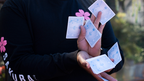 Sakura V2 Playing Cards by Murphy's Magic Supplies, Inc.