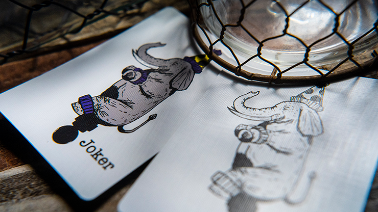 Memoria Deck (Feinaiglian Grid) Playing Cards by Murphy's Magic Supplies, Inc.