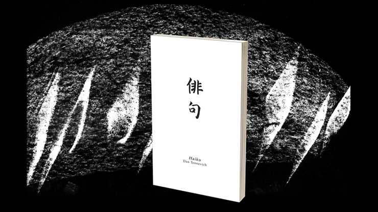 Haiku Book Test 2.0 by Vincent Hedan - Trick by Murphy's Magic Supplies, Inc.