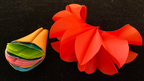 Deluxe Spring Flowers by Alan Wong - Trick by Murphy's Magic Supplies, Inc.