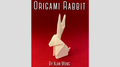 Origami Rabbit by Alan Wong - Trick by Murphy's Magic Supplies, Inc.
