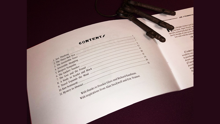 Devilish Impuzzibilities by Jim Steinmeyer - Book by Murphy's Magic Supplies, Inc.