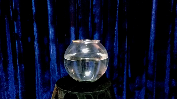 APPEARING FISH IN BOWL by Sorcier Magic by Murphy's Magic Supplies, Inc.