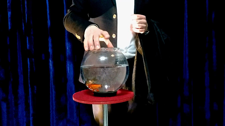 APPEARING FISH IN BOWL by Sorcier Magic by Murphy's Magic Supplies, Inc.