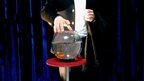 APPEARING FISH IN BOWL by Sorcier Magic by Murphy's Magic Supplies, Inc.
