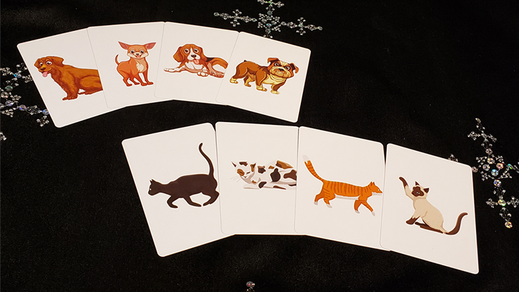Animal Card by Tejinaya by Tejinaya Magic by Murphy's Magic Supplies, Inc.