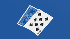 Black Roses Blue Magic Playing Cards by Murphy's Magic Supplies, Inc.