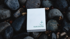 Limited Edition False Anchors 2 Playing Cards by Ryan Schlutz by Murphy's Magic Supplies, Inc.