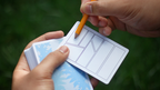 Sakura V3 Playing Cards by Murphy's Magic Supplies, Inc.