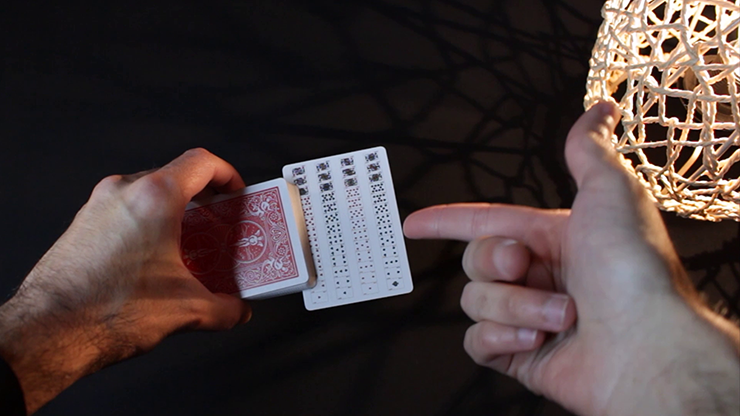 Bicycle Special Deck Playing Cards (plus 11 Online Effects) by Murphy's Magic Supplies, Inc.