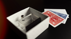 Vision Box 2.0 by João Miranda Magic - Trick by Murphy's Magic Supplies, Inc.