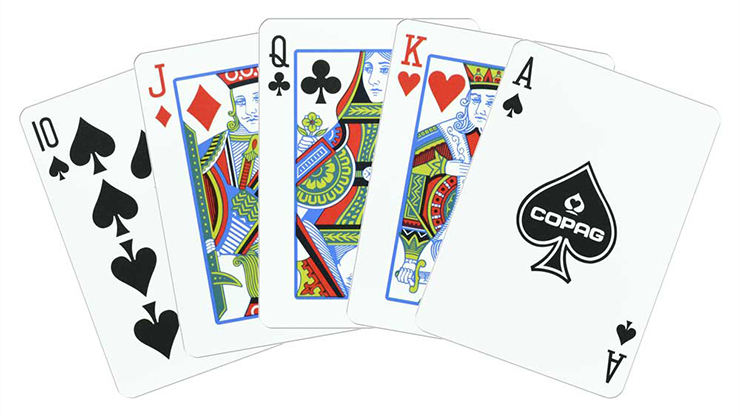Copag Unique Plastic Playing Cards Poker Size Regular Index Gray and Purple Double-Deck Set by Murphy's Magic Supplies, Inc.