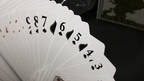Bicycle VeniVidiVici Metallic Playing Cards by Collectable Playing Cards by Murphy's Magic Supplies, Inc.