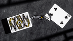 Snakes and Ladders Deck by Mechanic Industries - Trick by Murphy's Magic Supplies, Inc.