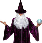 Purple Wizard Midnight Mystic Fantasy Magic Sorcerer Men's Costume by HalloweenStore.com