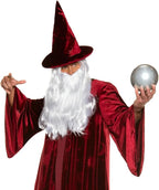Adult Burgundy Wizard Stargazer Fantasy Magic Sorcerer Men's Costume by HalloweenStore.com