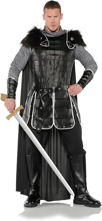 Medieval Warrior King Men's Knight Adult Costume by HalloweenStore.com