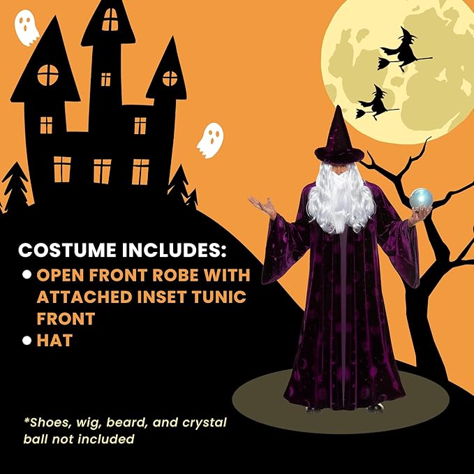 Purple Wizard Midnight Mystic Fantasy Magic Sorcerer Men's Costume by HalloweenStore.com