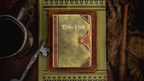 Robin Hood Playing Cards by Kings Wild by Murphy's Magic Supplies, Inc.