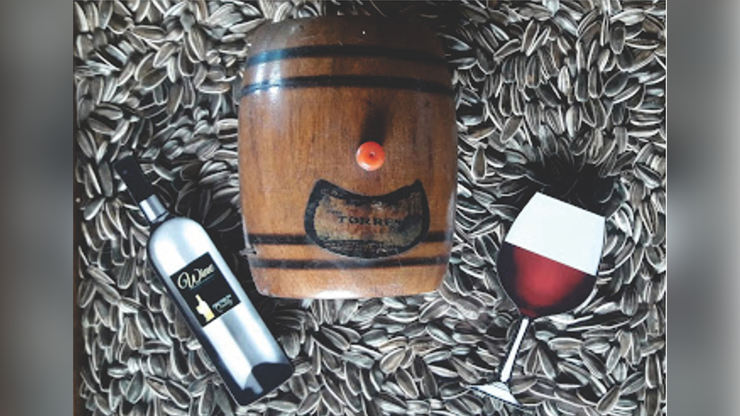 MAGIC WINE PADDLE by Dar Magia - Trick by Murphy's Magic Supplies, Inc.