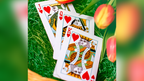 Butterfly Seasons Playing Cards Marked (Spring) by Ondrej Psenicka by Murphy's Magic Supplies, Inc.