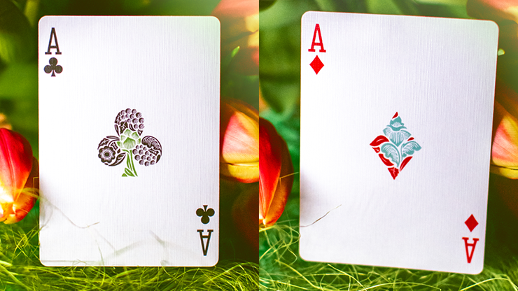 Butterfly Seasons Playing Cards Marked (Spring) by Ondrej Psenicka by Murphy's Magic Supplies, Inc.