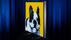 LEGO FRAME by Gustavo Sereno and Gee Magic by Murphy's Magic Supplies, Inc.
