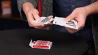 Big Picture (Gimmick and Online Instructions) by Kyle Purnell - Trick by Murphy's Magic Supplies, Inc.