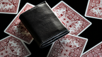 Quiver Compact Index (Gimmick only) by Kelvin Chow -Trick by Murphy's Magic Supplies, Inc.