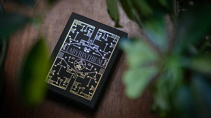 Labyrinthium Playing Cards by Murphy's Magic Supplies, Inc.