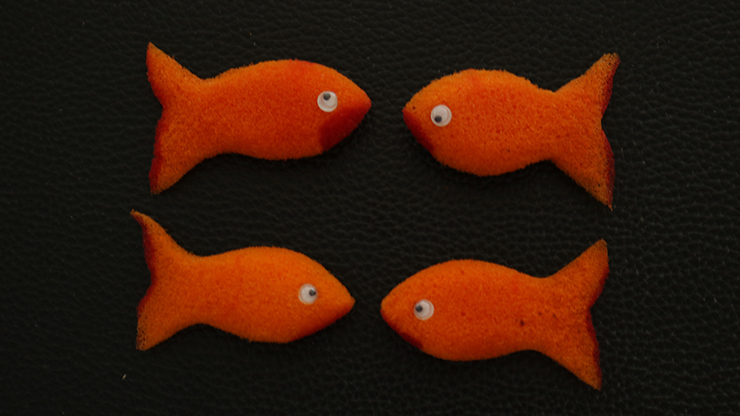 Sponge Emoji GOLDFISH (4PK.) by Andy Amyx- Trick by Murphy's Magic Supplies, Inc.
